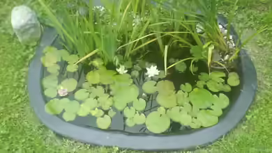 Jans kleiner Teich von leutert1