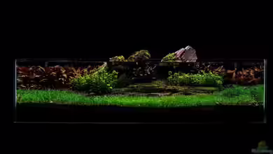 Jurassic Scape von Michael Wette