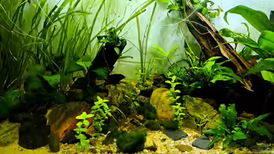 Just like a new day -aufgelöst von okefenokee