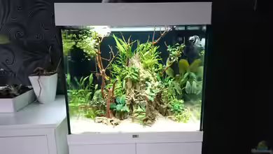 Juwel lido von Inuki