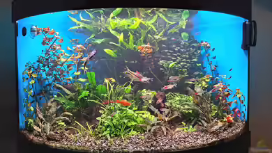 Juwel Trigon 190 Liter von Stefan Müller