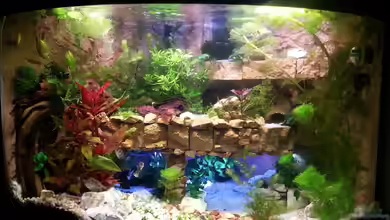 Juwel Trigon 190 von Bluemoon