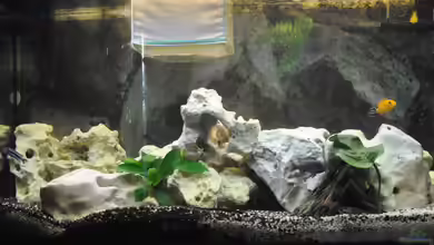 Juwel Vision 180 von Marco Rath