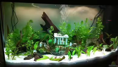 Juwel Vision von Sebastian Wytrych