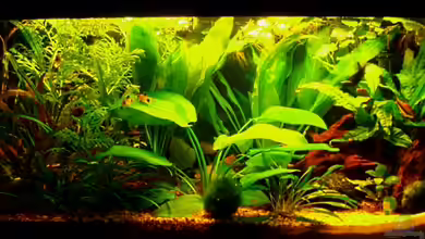 Kaiser Becken von ~Marco~