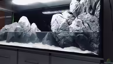 Kellertank von P4TR1CK