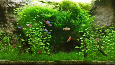 Kinderzimmerbecken von Tilo Schmiedl