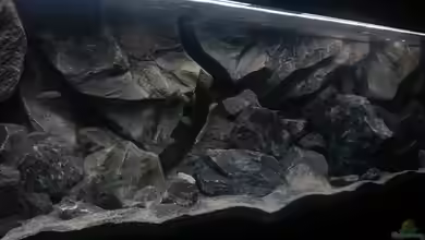 Klein Malawi in - Nur noch als Beispiel von tripledad