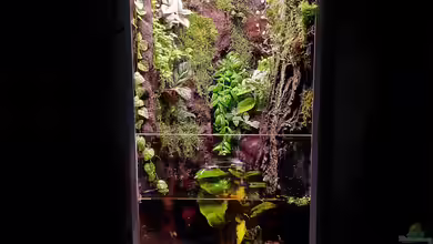 Kleine Schlucht von Stephi