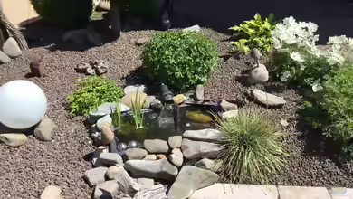 kleines Gartenbiotop von herkla