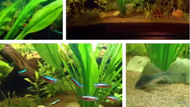 Kleines Stück Südamerika von Enzio