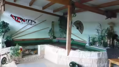 KOIBECKEN von Sascha Schleicher