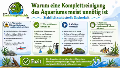 Komplettreinigung des Aquariums: Meist unnötig und bitte nicht zu oft