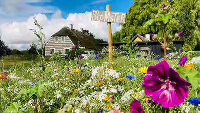 Lebensräume für Tiere im Garten schaffen - So wird der Garten zu einem Paradies für die heimische Tierwelt