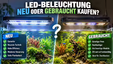 LED-Beleuchtung neu oder gebraucht kaufen?