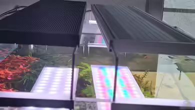 LED-Beleuchtung und Lichtsteuerung von unterschiedlichen Anbietern kombinieren - Möglichkeiten, Herausforderungen und Praxistipps für das Aquarium