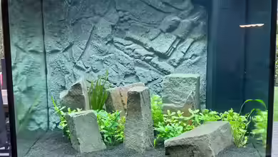 Lido 200 - ein Wiedereinstieg von Leo123