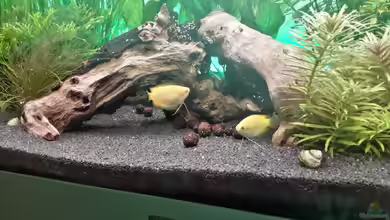 Lido 200 Gesellschaft von Eric Mattiszik