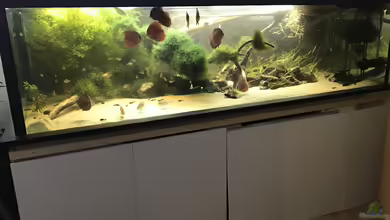 Little Amazonas im Ötztal von Hannes Klotz