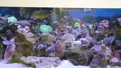 Little Ocean... von Marc Waidelich