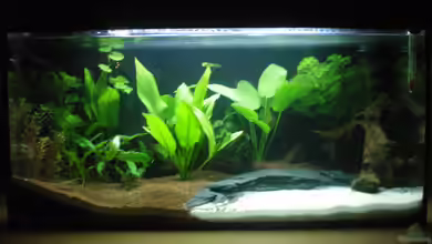 Little Südamerika von Thomas Ahrens