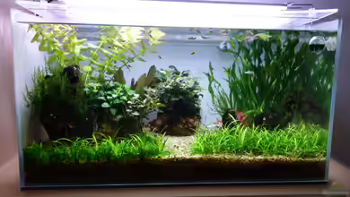 Living Water von Bernde