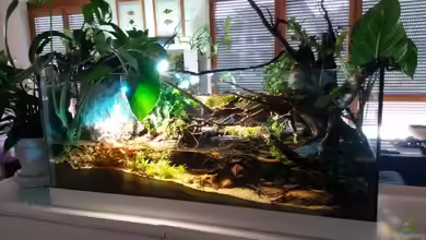 Low tech Riparium von Markaroni