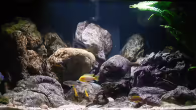 Malawi - FamilyProject2017 von MGR