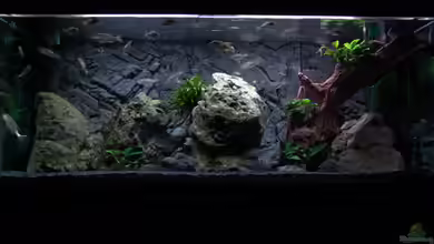 Malawi 1 von Spaceace