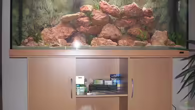 Malawi 400 von Samson