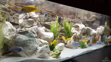 Malawi Becken von Mare