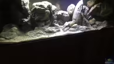 Malawi Geröllzone von Lippi