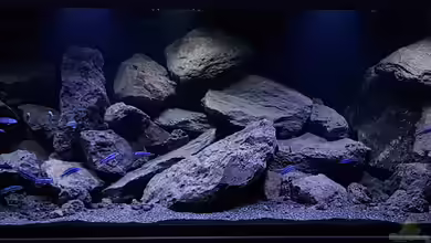 Malawi Geröllzone von Gernot