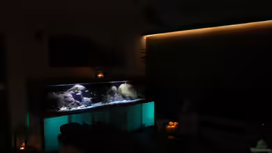 Malawi-Guru-Becken 3.0 von Florian Bandhauer