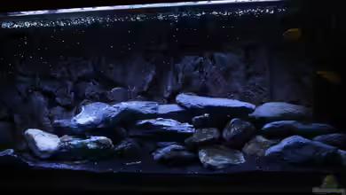 Malawi im Schlafzimmer -) von skipper1202