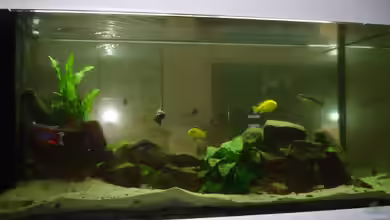 Malawi im Wohnzimmer von Roadrunner 68