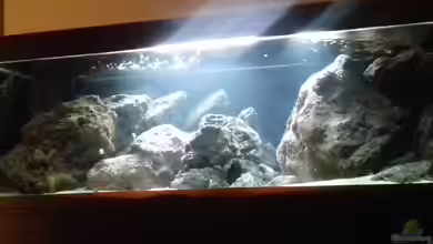 Malawi LavaBecken von Marco Schmitt