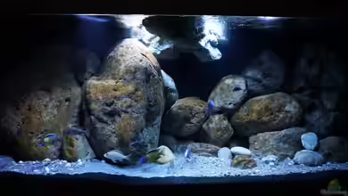 Malawi (nur noch Beispiel) von andreas32