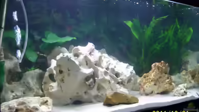 Malawi Palace von 47 Malawi