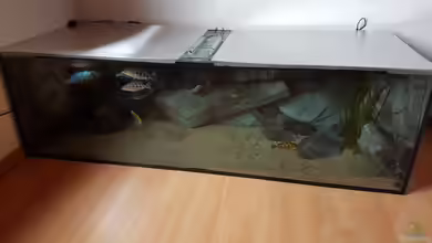 Malawi Paradise von Tobi W.