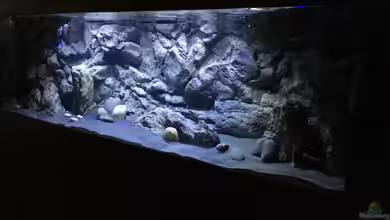 Malawi Retro Becken von Albert