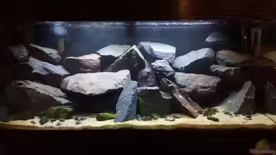 Malawi Rockzone von Ebi