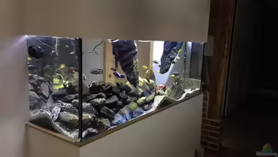 Malawi-Schluchten von Mueller76