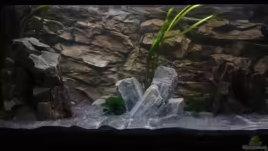 Malawi See von Tobias Janßen