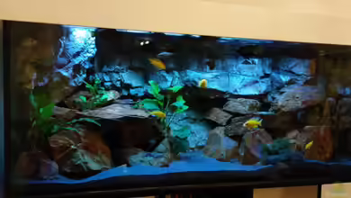 Malawi Sun Rise von FunkyTraut