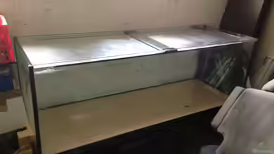 Malawi Tank 2 von EL_LOCO