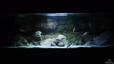 Malawi und Beton von skipper1202