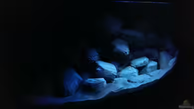 Malawi Vision 450 Anfang von Marcel R.