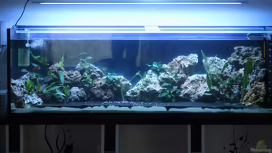 Malawi Welt von BAD666