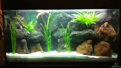 Malawi von Manuel Fuchs